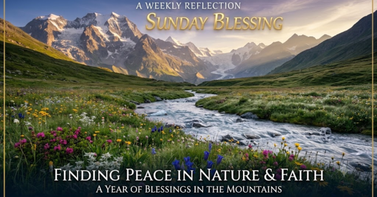 A vibrant photograph of a wide alpine valley with a stream flowing through a foreground full of diverse wildflowers, leading toward massive snow-capped mountains and a glacier under a colorful sky.